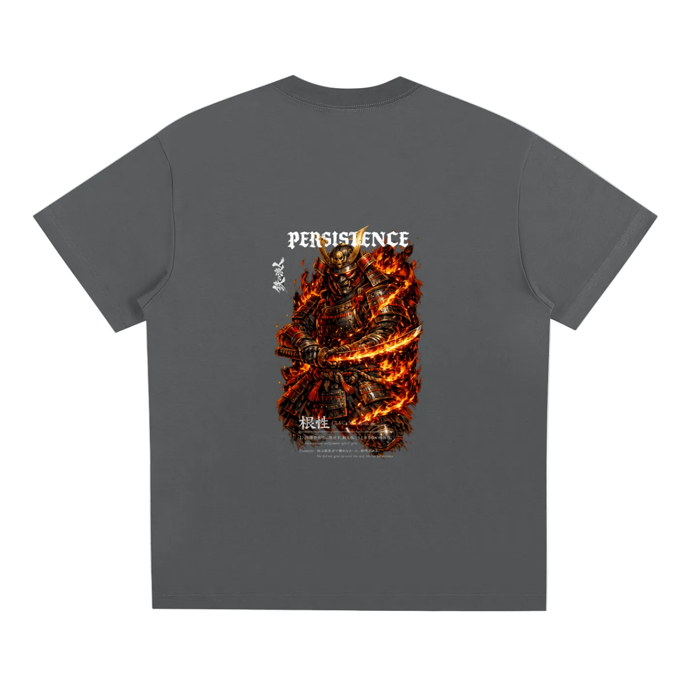 Gray t-shirt with a fiery graphic and 'PERSISTENCE' text on the back